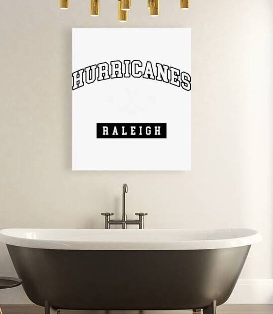 Carolina Hurricanes 13 by DavidMCole