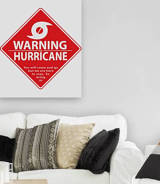 Carolina Hurricanes 15 by DavidMCole