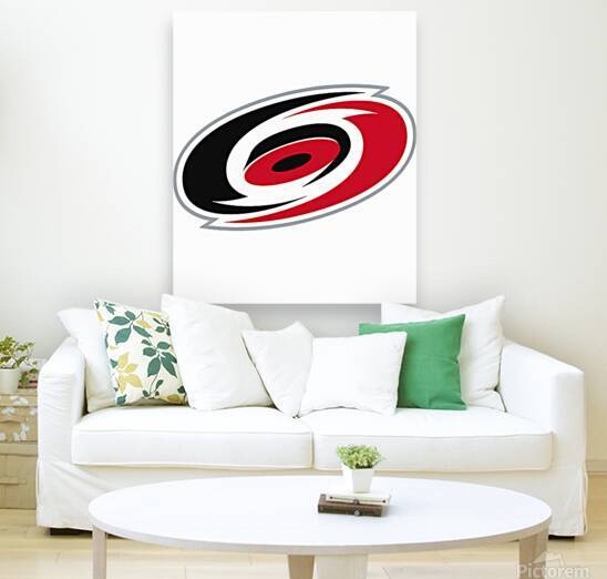 Carolina Hurricanes 16 by DavidMCole