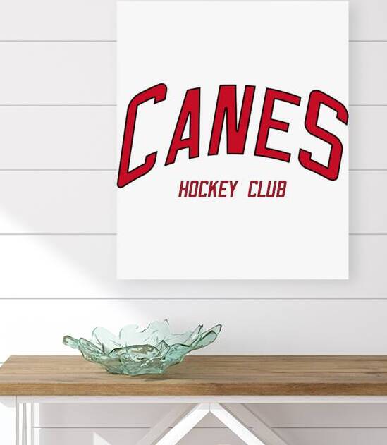 Carolina Hurricanes 20 by DavidMCole