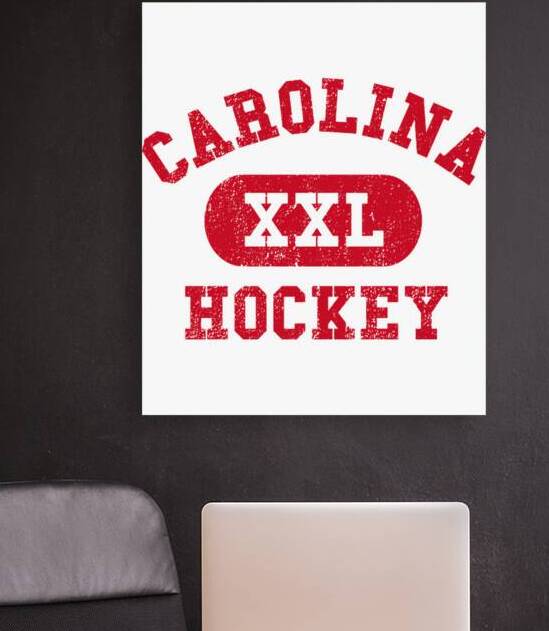 Carolina Hurricanes 29 by DavidMCole