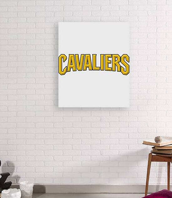 Cleveland Cavaliers 25 by DavidMCole