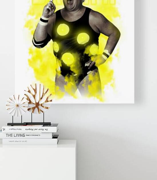 Dusty Rhodes 28 by DavidMCole