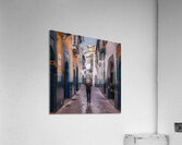 WALKING MAN Acrylic Print