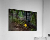 Survival Acrylic Print