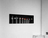 Lunar Eclipse Acrylic Print