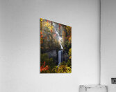Raven Cliff Falls Acrylic Print