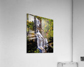 Whitewater Falls Acrylic Print