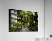 Peaceful Canal Acrylic Print
