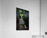 Cat at the Gate Acrylic Print