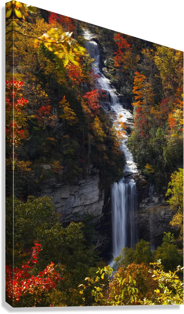 Raven Cliff Falls Canvas Print