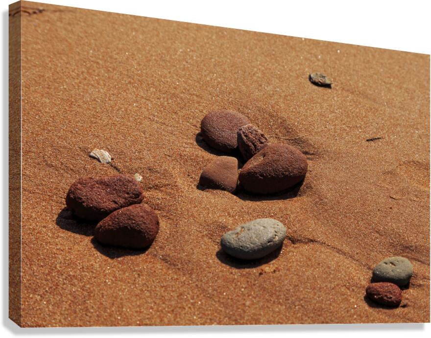 Pebbles on the Beach Canvas Print