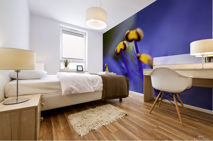 Spider Wort Mural print
