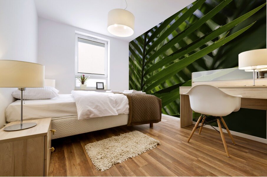 Palm Frond Backlit Mural print
