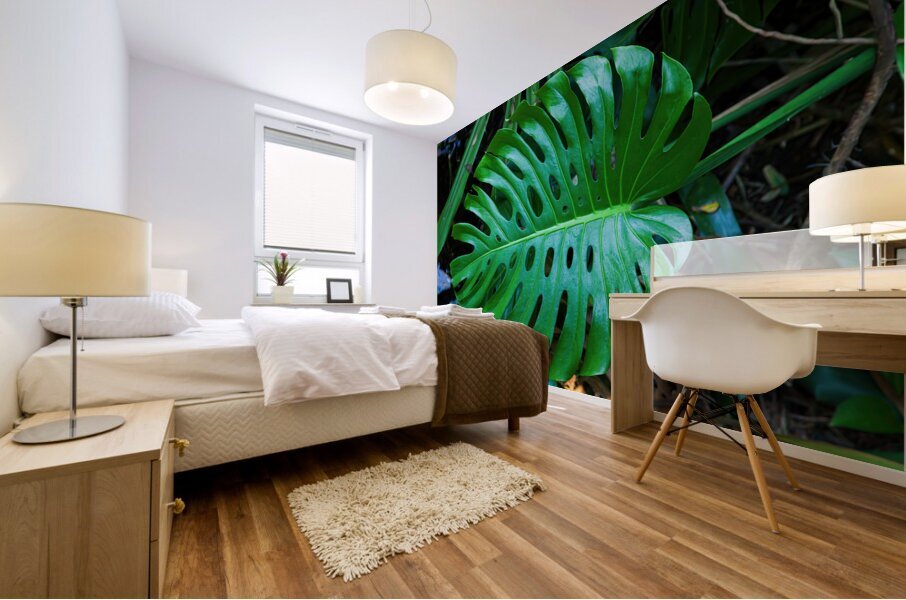 Split Leaf Philodendron Mural print