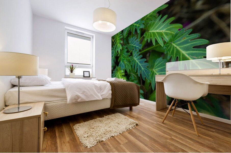 Small Philodendron Cluster Mural print