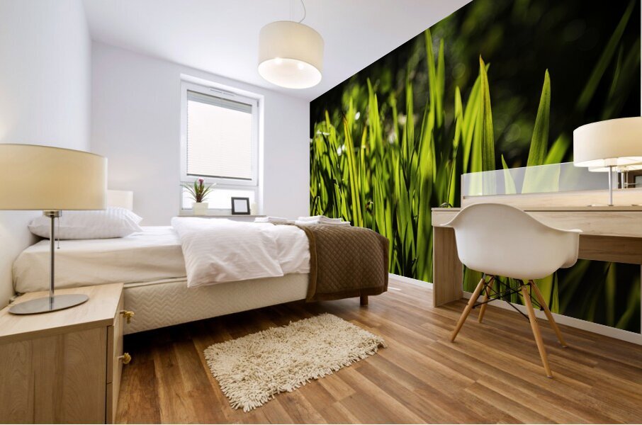 Backlit Grasses Mural print
