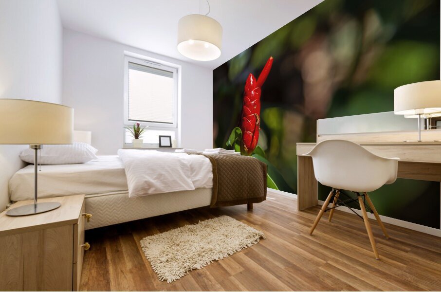 Spiral Ginger Mural print