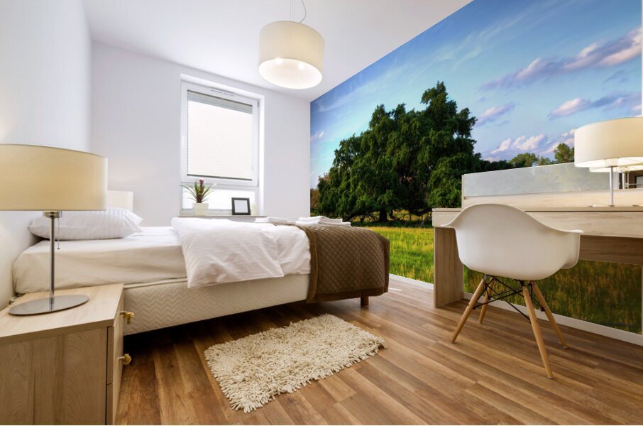 Ancient Live Oak Mural print