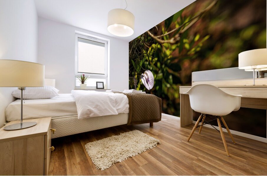 Butterfly Pea Mural print