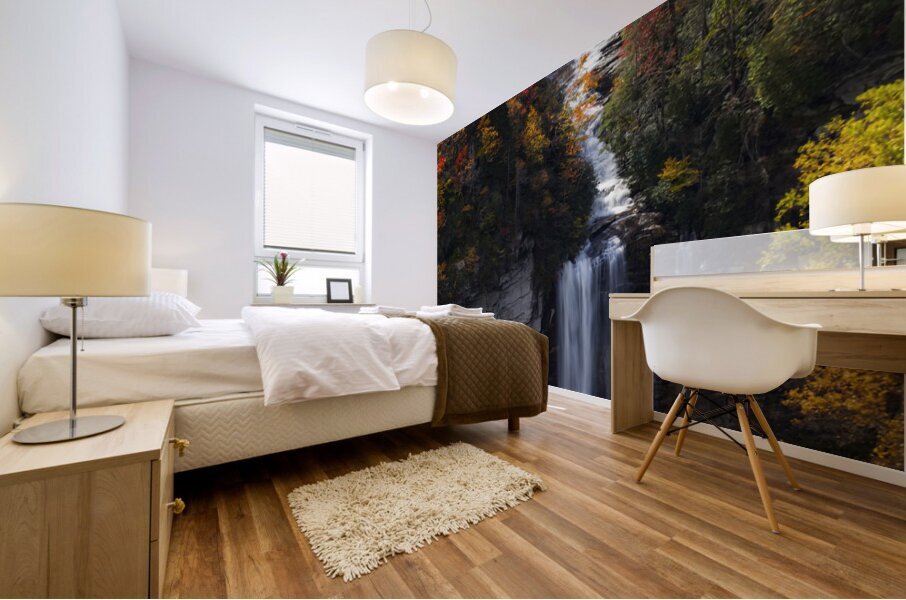 Raven Cliff Falls Mural print