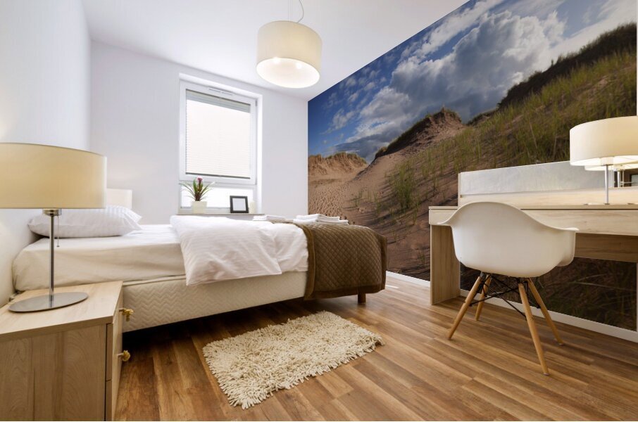 High Dunes Mural print