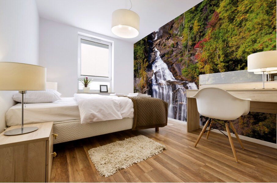 Whitewater Falls Mural print