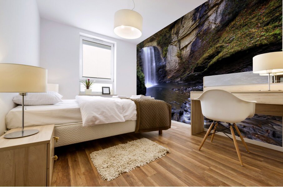 Looking Glass Falls Mural print
