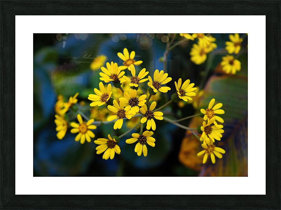Small Yellow Flowers Picture Frame print