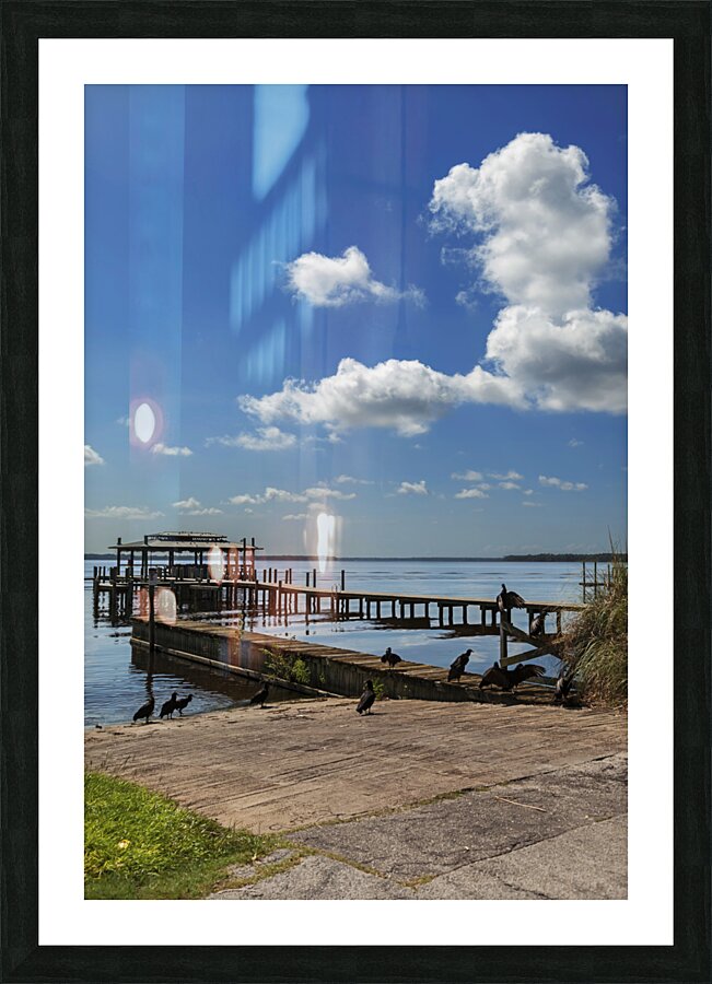 Abandoned Docks Picture Frame print