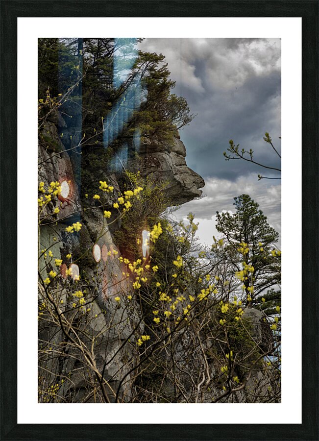 Caesar s Head Picture Frame print