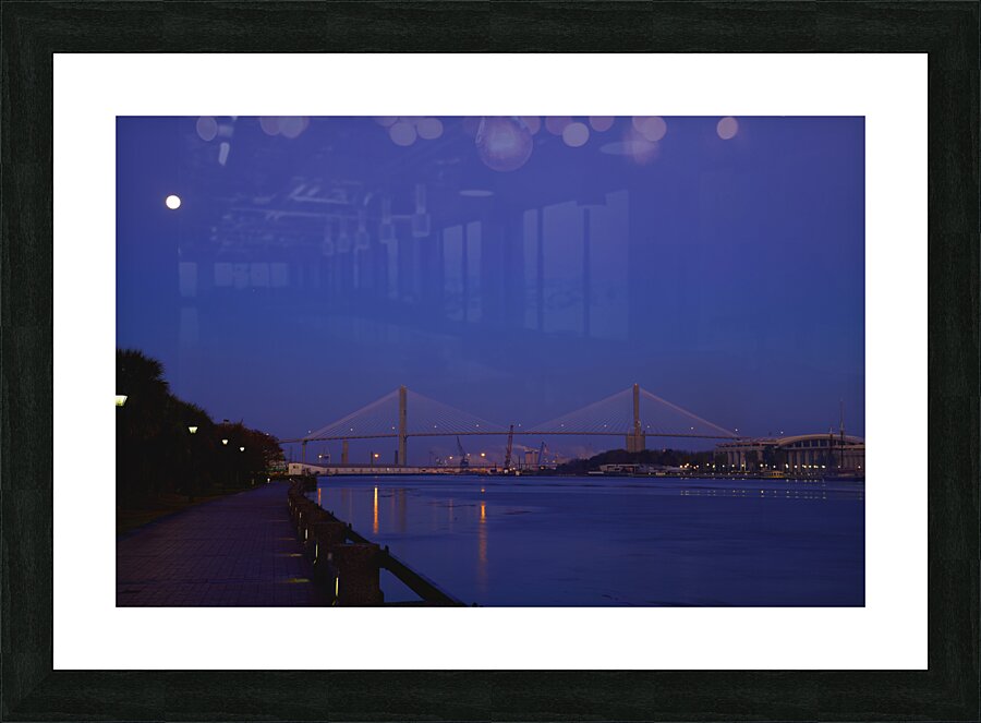 Moon Over Savannah Picture Frame print