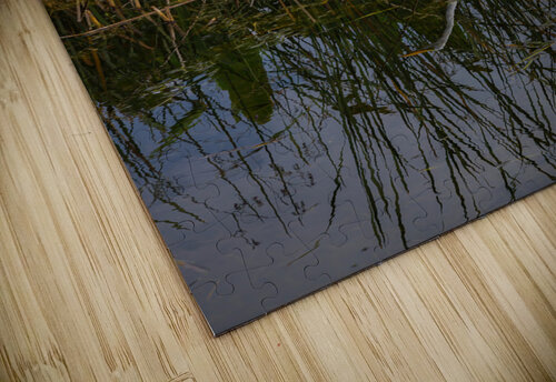 White Egret with Reflection Jerry Clement puzzle
