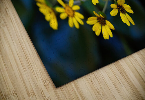 Small Yellow Flowers Jerry Clement puzzle