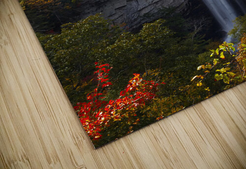 Raven Cliff Falls Jerry Clement puzzle