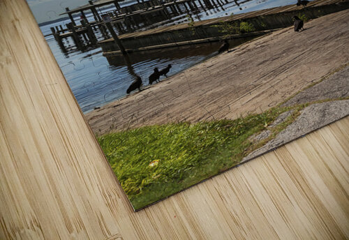 Abandoned Docks Jerry Clement puzzle