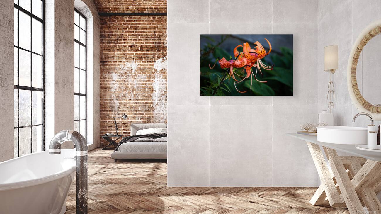 Tiger Lilies Reproduction