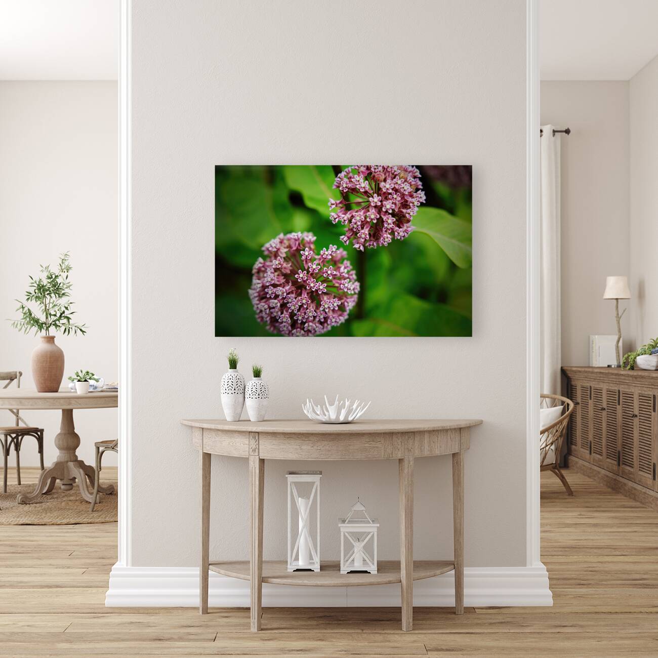Milkweed Reproduction