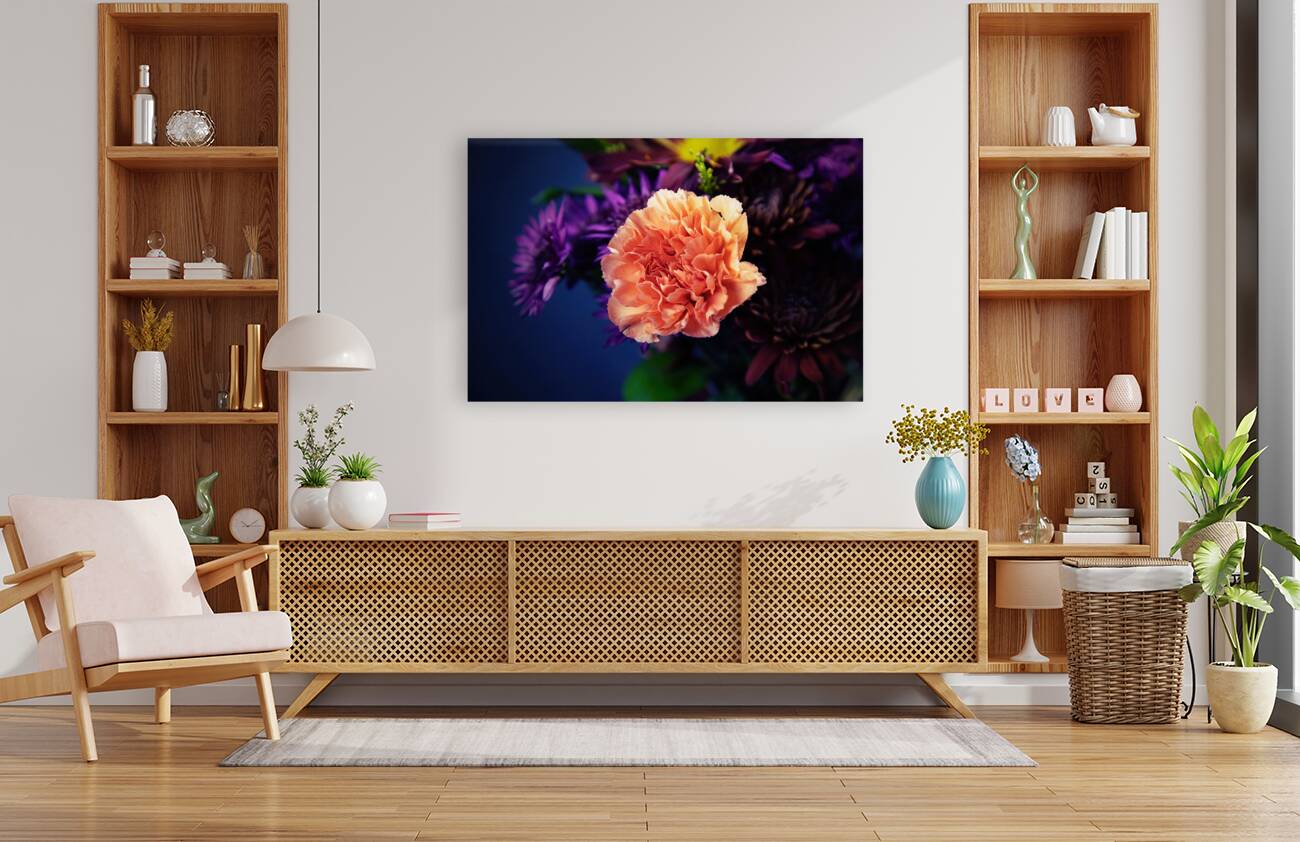 Salmon Carnation Reproduction