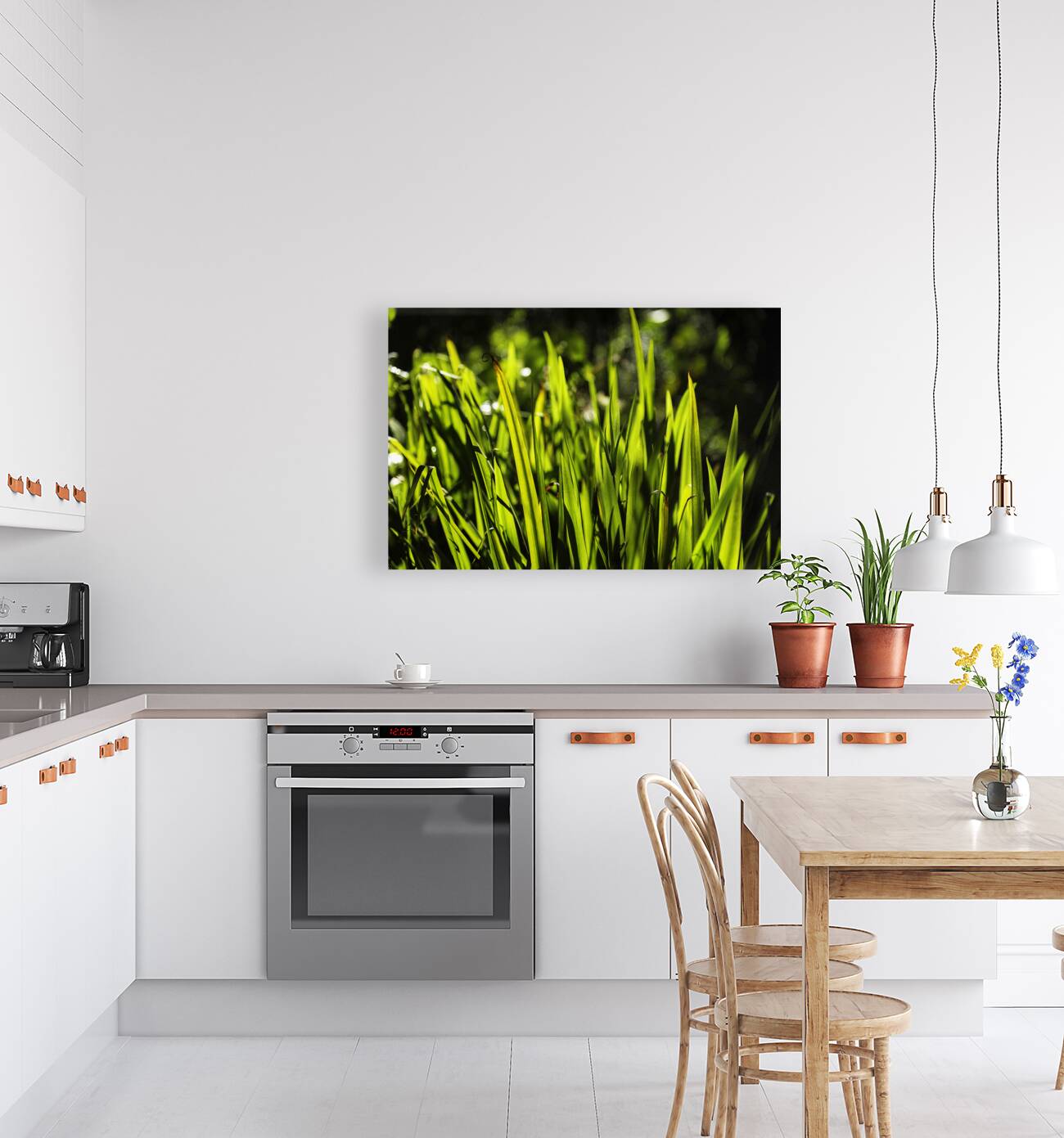 Backlit Grasses Reproduction