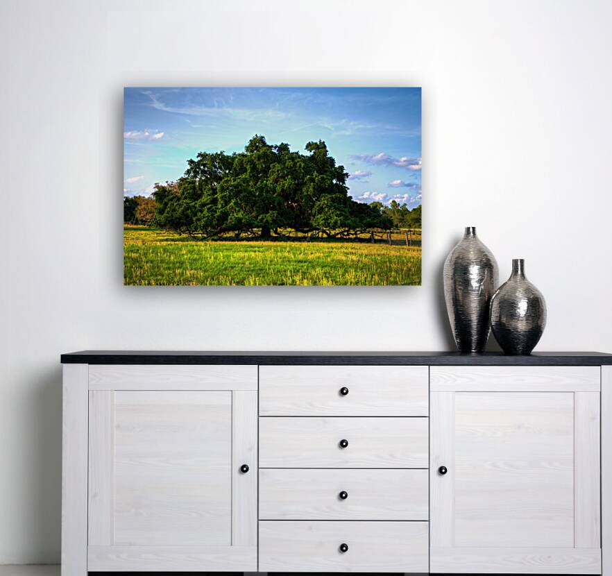 Ancient Live Oak Reproduction