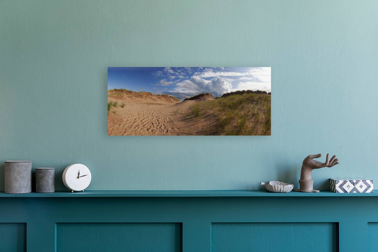 High Dunes Reproduction