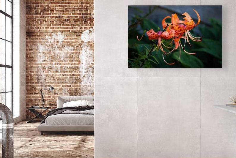 Tiger Lilies by Jerry Clement