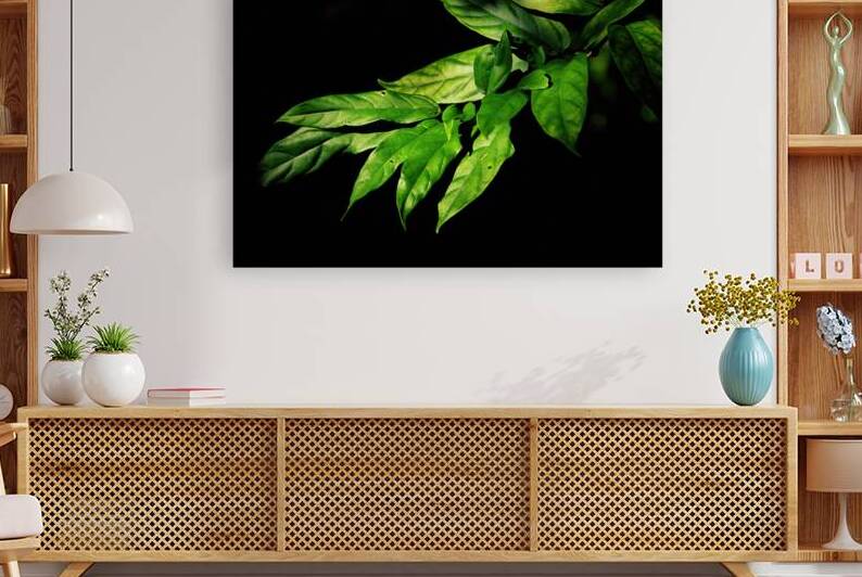 Green Leaves on Black by Jerry Clement
