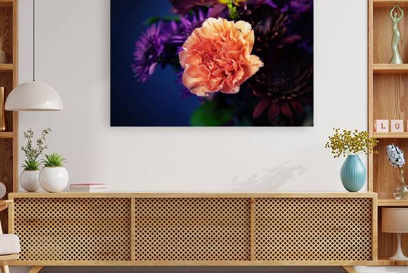 Salmon Carnation by Jerry Clement