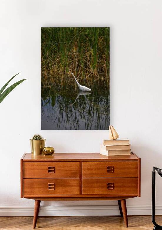 White Egret with Reflection by Jerry Clement