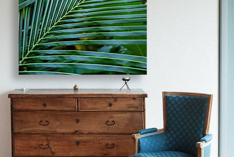 Abstract Palm Leaves by Jerry Clement