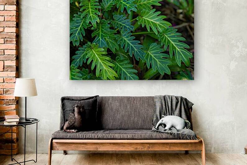 Small Philodendron Cluster by Jerry Clement