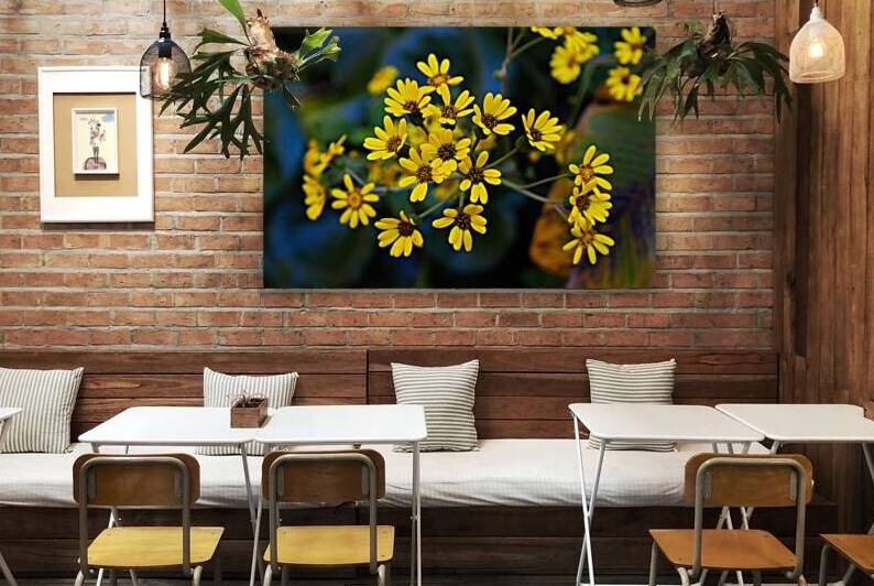 Small Yellow Flowers by Jerry Clement