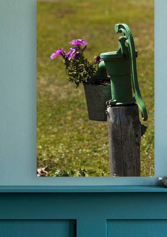 Flower Bucket on Water Pump by Jerry Clement